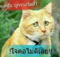 นายขวัญชัย ทองคำ